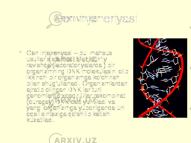 Gen injeneriyasi • Gen injeneriyasi – bu mahsus usullar sistemasi bilan sun’iy ravishda (laboratoriyalarda ) bir organizmning DNK molekulasini olib ikkinchi bir organizmga ko’chirish bilan shug’ullanadi. Organizmlardan ajratib olingan DNK lar turli genomlarga xosdir.Ular rekombinat (duragay) DNK deb yuritiladi va yangi organizmga yuborilganda uni oqsil sinteziga qo’shilib ketishi kuzatiladi. 