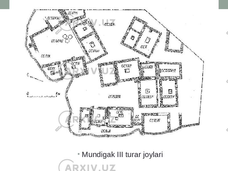 • Mundigak III turar joylari 