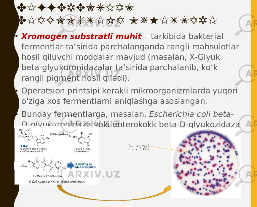 DIFFERENSIAL DIAGNOSTIKA MUHITLARI • Xromogen substratli muhit – tarkibida bakterial fermentlar ta’sirida parchalanganda rangli mahsulotlar hosil qiluvchi moddalar mavjud (masalan, X-Glyuk beta-glyukuronidazalar ta’sirida parchalanib, ko‘k rangli pigment hosil qiladi). • Operatsion printsipi kerakli mikroorganizmlarda yuqori o&#39;ziga xos fermentlarni aniqlashga asoslangan. • Bunday fermentlarga, masalan, Escherichia coli beta- D-glyukuronidaza yoki enterokokk beta-D-glyukozidaza kiradi. E.coli   