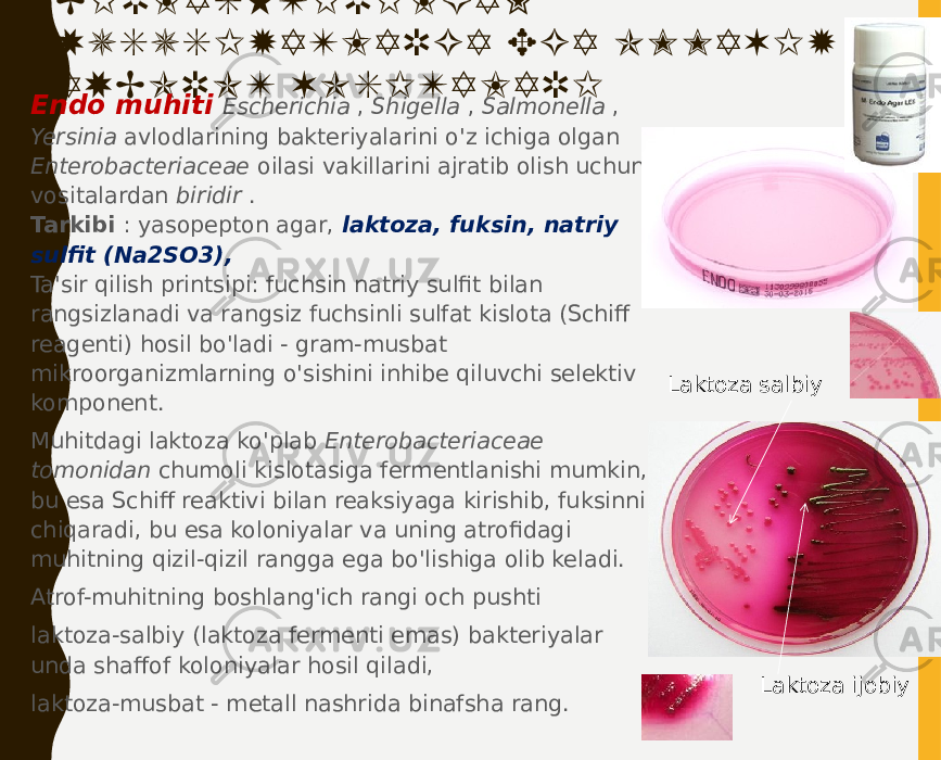 B I R L A S HT I R I L GA N XUS USI Y A TL A R G A EG A O MMA V I Y A XB O R OT V OS I TA L A RI • Endo muhiti Escherichia , Shigella , Salmonella , Yersinia avlodlarining bakteriyalarini o&#39;z ichiga olgan Enterobacteriaceae oilasi vakillarini ajratib olish uchun vositalardan biridir .  Tarkibi : yasopepton agar, laktoza, fuksin, natriy sulfit (Na2SO3),  Ta&#39;sir qilish printsipi: fuchsin natriy sulfit bilan rangsizlanadi va rangsiz fuchsinli sulfat kislota (Schiff reagenti) hosil bo&#39;ladi - gram-musbat mikroorganizmlarning o&#39;sishini inhibe qiluvchi selektiv komponent. • Muhitdagi laktoza ko&#39;plab Enterobacteriaceae tomonidan chumoli kislotasiga fermentlanishi mumkin, bu esa Schiff reaktivi bilan reaksiyaga kirishib, fuksinni chiqaradi, bu esa koloniyalar va uning atrofidagi muhitning qizil-qizil rangga ega bo&#39;lishiga olib keladi. • Atrof-muhitning boshlang&#39;ich rangi och pushti • laktoza-salbiy (laktoza fermenti emas) bakteriyalar unda shaffof koloniyalar hosil qiladi, • laktoza-musbat - metall nashrida binafsha rang. Laktoza ijobiyLaktoza salbiy 