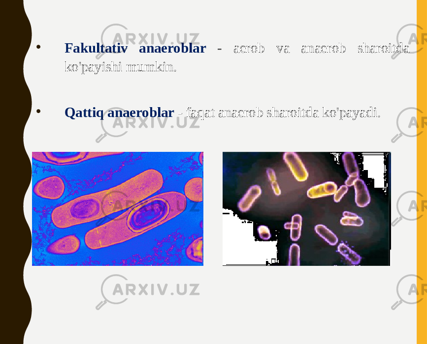 • Fakultativ anaeroblar - aerob va anaerob sharoitda ko&#39;payishi mumkin. • Qattiq anaeroblar - faqat anaerob sharoitda ko&#39;payadi. 