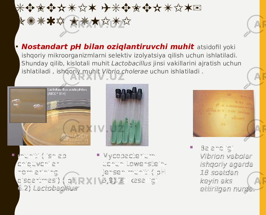 SELEKTIV (SELEKTIV) OZUQA MUHITI • Nostandart pH bilan oziqlantiruvchi muhit atsidofil yoki ishqoriy mikroorganizmlarni selektiv izolyatsiya qilish uchun ishlatiladi. Shunday qilib, kislotali muhit Lactobacillus jinsi vakillarini ajratish uchun ishlatiladi , ishqoriy muhit Vibrio cholerae uchun ishlatiladi .  Balandligi Vibrion vabolar ishqoriy agarda 18 soatdan keyin aks ettirilgan nurda. Mycobacterium uchun Lowenstein- Jensen muhiti ( pH 5,9). sil kasalligi muhiti ( ishlab chiquvchilar nomlarining qisqartmasi) ( pH 6.2) Lactobacillus 