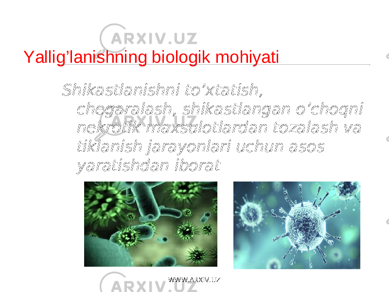 Yallig’lanishning biologik mohiyati Shikastlanishni to’xtatish , chegaralash , shikastlangan o’choqni nekrotik maxsulotlardan tozalash va tiklanish jarayonlari uchun asos yaratishdan iborat WWW.ARXIV.UZ 