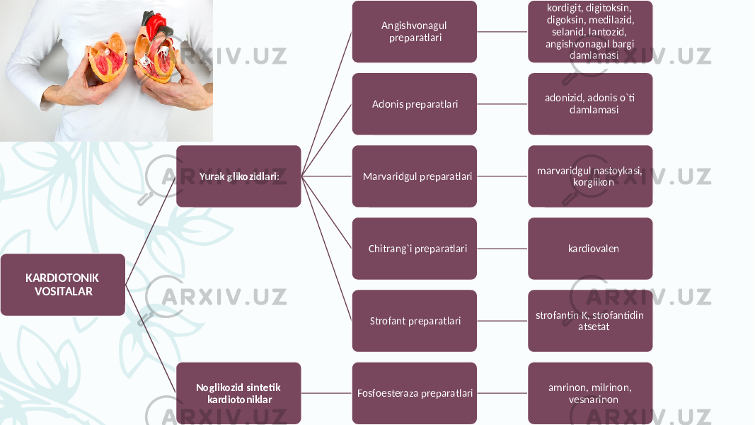 KARDIOTONIK VOSITALAR Yurak glikozidlari: Angishvonagul prеparatlari kordigit, digitoksin, digoksin, mеdilazid, sеlanid, lantozid, angishvonagul bargi damlamasi Adonis prеparatlari adonizid, adonis o`ti damlamasi Marvaridgul prеparatlari marvaridgul nastoykasi, korglikon Chitrang`i prеparatlari kardiovalеn Strofant prеparatlari strofantin K, strofantidin atsеtat Noglikozid sintеtik kardiotoniklar Fosfoesteraza preparatlari amrinon, milrinon, vеsnarinon 