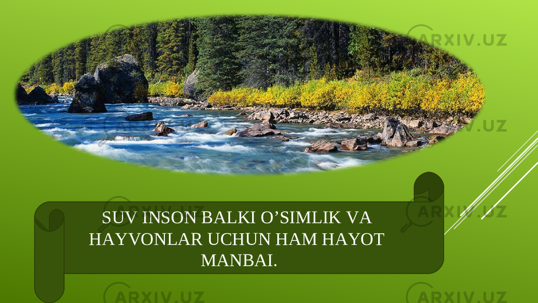 SUV INSON BALKI O’SIMLIK VA HAYVONLAR UCHUN HAM HAYOT MANBAI. 