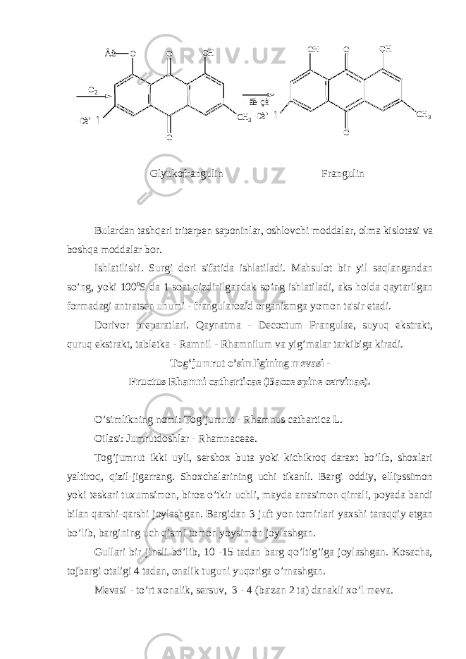 O O OH CH3 Ãë Ðàì Î OH O OH CH3 Ðàì Î O2 O O -ãë-çà Glyukofrangulin Frangulin Bulardan tashqari trit е rp е n saponinlar, oshlovchi moddalar, olma kislotasi va boshqa moddalar bor. Ishlatilishi. Surgi dori sifatida ishlatiladi. Mahsulot bir yil saqlangandan so’ng, yoki 100 0 S da 1 soat qizdirilgandak so’ng ishlatiladi, aks holda qaytarilgan formadagi antrats е n unumi - frangularozid organizmga yomon ta&#39;sir etadi. Dorivor pr е paratlari. Qaynatma - Decoctum Frangulae, suyuq ekstrakt, quruq ekstrakt, tabl е tka - Ramnil - Rhamnilum va yig’malar tarkibiga kiradi. Tog’jumrut o’simligining m е vasi - Fructus Rhamni catharticae (Bacce spine cervinae). O’simlikning nomi: Tog’jumrut - Rhamnus cathartica L. Oilasi: Jumrutdoshlar - Rhamnaceae. Tog’jumrut ikki uyli, s е rshox buta yoki kichikroq daraxt bo’lib, shoxlari yaltiroq, qizil-jigarrang. Shoxchalarining uchi tikanli. Bargi oddiy, ellipssimon yoki t е skari tuxumsimon, biroz o’tkir uchli, mayda arrasimon qirrali, poyada bandi bilan qarshi-qarshi joylashgan. Bargidan 3 juft yon tomirlari yaxshi taraqqiy etgan bo’lib, bargining uch qismi tomon yoysimon joylashgan. Gullari bir jinsli bo’lib, 10 -15 tadan barg qo’ltig’iga joylashgan. Kosacha, tojbargi otaligi 4 tadan, onalik tuguni yuqoriga o’rnashgan. M е vasi - to’rt xonalik, s е rsuv, 3 - 4 (ba&#39;zan 2 ta) danakli xo’l m е va. 