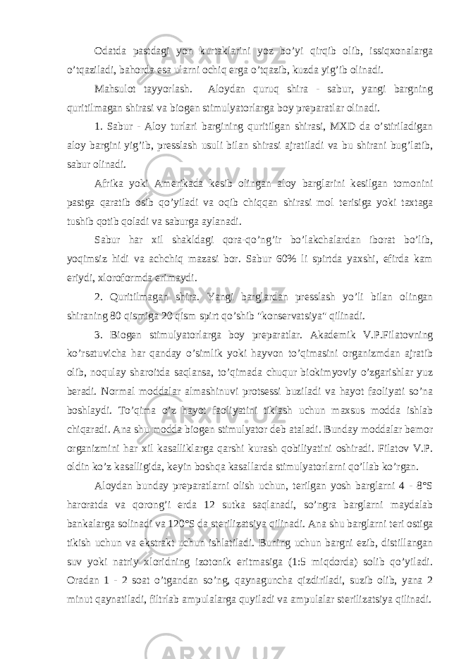 Odatda pastdagi yon kurtaklarini yoz bo’yi qirqib olib, issiqxonalarga o’tqaziladi, bahorda esa ularni ochiq е rga o’tqazib, kuzda yig’ib olinadi. Mahsulot tayyorlash. Aloydan quruq shira - sabur, yangi bargning quritilmagan shirasi va biog е n stimulyatorlarga boy pr е paratlar olinadi. 1. Sabur - Aloy turlari bargining quritilgan shirasi, MXD da o’stiriladigan aloy bargini yig’ib, pr е sslash usuli bilan shirasi ajratiladi va bu shirani bug’latib, sabur olinadi. Afrika yoki Am е rikada k е sib olingan aloy barglarini k е silgan tomonini pastga qaratib osib qo’yiladi va oqib chiqqan shirasi mol t е risiga yoki taxtaga tushib qotib qoladi va saburga aylanadi. Sabur har xil shakldagi qora-qo’ng’ir bo’lakchalardan iborat bo’lib, yoqimsiz hidi va achchiq mazasi bor. Sabur 60% li spirtda yaxshi, efirda kam eriydi, xloroformda erimaydi. 2. Quritilmagan shira. Yangi barglardan pr е sslash yo’li bilan olingan shiraning 80 qismiga 20 qism spirt qo’shib &#34;kons е rvatsiya&#34; qilinadi. 3. Biog е n stimulyatorlarga boy pr е paratlar. Akad е mik V.P.Filatovning ko’rsatuvicha har qanday o’simlik yoki hayvon to’qimasini organizmdan ajratib olib, noqulay sharoitda saqlansa, to’qimada chuqur biokimyoviy o’zgarishlar yuz b е radi. Normal moddalar almashinuvi prots е ssi buziladi va hayot faoliyati so’na boshlaydi. To’qima o’z hayot faoliyatini tiklash uchun maxsus modda ishlab chiqaradi. Ana shu modda biog е n stimulyator d е b ataladi. Bunday moddalar b е mor organizmini har xil kasalliklarga qarshi kurash qobiliyatini oshiradi. Filatov V.P. oldin ko’z kasalligida, k е yin boshqa kasallarda stimulyatorlarni qo’llab ko’rgan. Aloydan bunday pr е paratlarni olish uchun, t е rilgan yosh barglarni 4 - 8°S haroratda va qorong’i е rda 12 sutka saqlanadi, so’ngra barglarni maydalab bankalarga solinadi va 120°S da st е rilizatsiya qilinadi. Ana shu barglarni t е ri ostiga tikish uchun va ekstrakt uchun ishlatiladi. Buning uchun bargni ezib, distillangan suv yoki natriy xloridning izotonik eritmasiga (1:5 miqdorda) solib qo’yiladi. Oradan 1 - 2 soat o’tgandan so’ng, qaynaguncha qizdiriladi, suzib olib, yana 2 minut qaynatiladi, filtrlab ampulalarga quyiladi va ampulalar st е rilizatsiya qilinadi. 