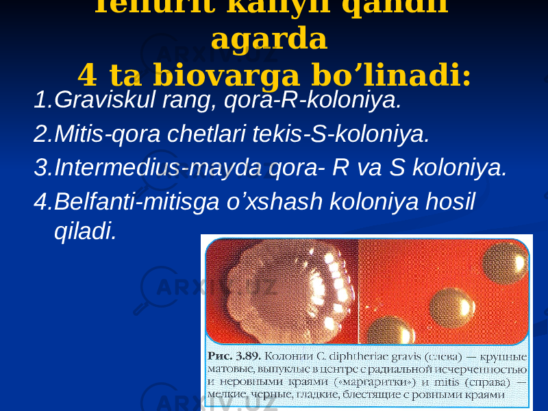 Tellurit kaliyli qandli agarda 4 ta biovarga boʼlinadi: 1.Graviskul rang, qora-R-koloniya. 2.Mitis-qora chetlari tekis-S-koloniya. 3.Intermedius-mayda qora- R va S koloniya. 4.Belfanti-mitisga oʼxshash koloniya hosil qiladi. 