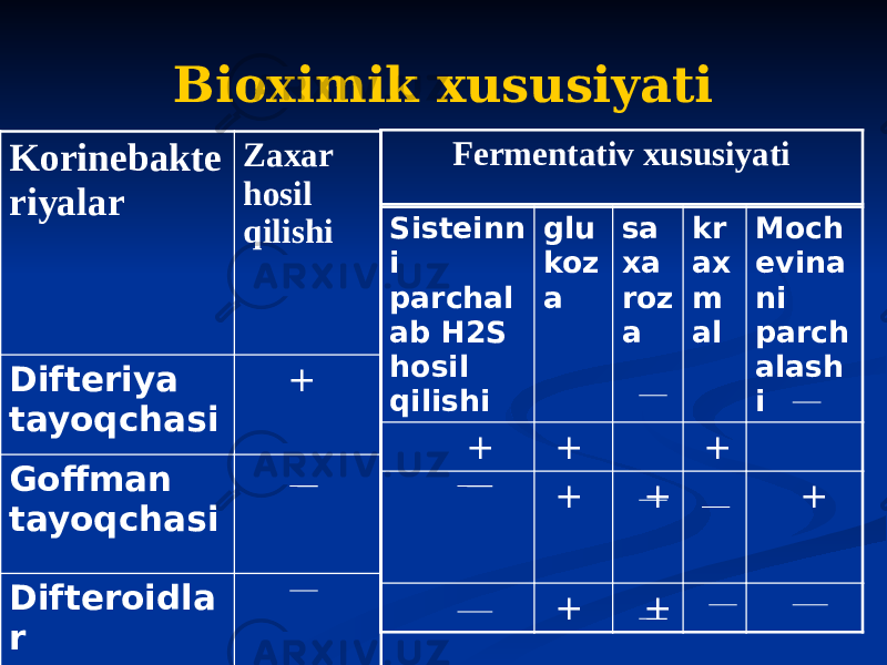 Bioximik xususiyati Korinebakte riyalar Zaxar hosil qilishi Difteriya tayoqchasi + Goffman tayoqchasi Difteroidla r Sisteinn i parchal ab H2S hosil qilishi glu koz a sa xa roz a kr ax m al Moch evina ni parch alash i + + + + + + + +Fermentativ xususiyati 