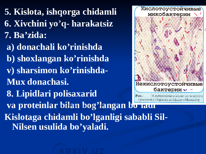 5. Kislota, ishqorga chidamli 6. Xivchini yoʼq- harakatsiz 7. Baʼzida: a) donachali koʼrinishda b) shoxlangan koʼrinishda v) sharsimon koʼrinishda- Mux donachasi. 8. Lipidlari polisaxarid va proteinlar bilan bogʼlangan boʼladi Kislotaga chidamli boʼlganligi sababli Sil- Nilsen usulida boʼyaladi. 