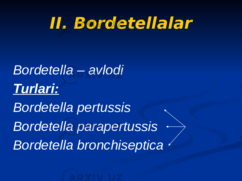 II. Bordetellalar Bordetella – avlodi Turlari: Bordetella pertussis Bordetella parapertussis Bordetella bronchiseptica 