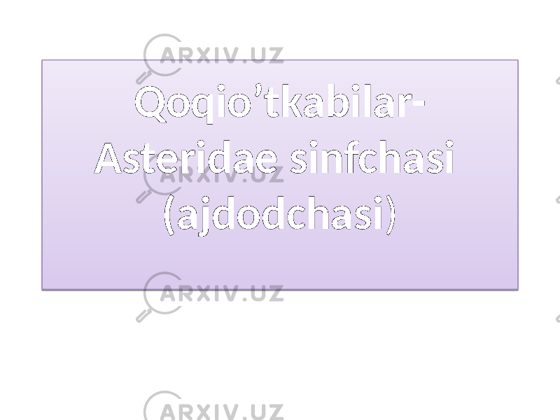 Qoqio’tkabilar- Asteridae sinfchasi (ajdodchasi ) 01 0D0E 16 01 02 