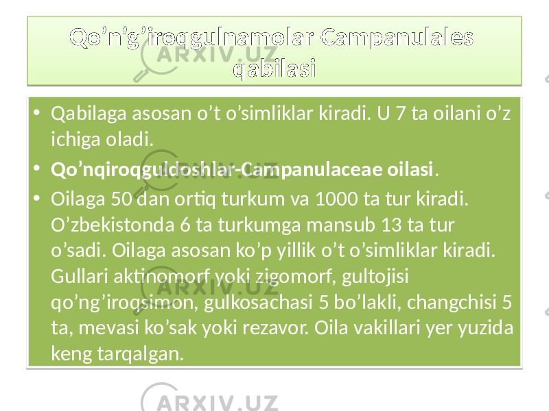 Qo’n’g’iroqgulnamolar-Campanulales qabilasi • Qabilaga asosan o’t o’simliklar kiradi. U 7 ta oilani o’z ichiga oladi. • Qo’nqiroqguldoshlar-Campanulaceae oilasi . • Oilaga 50 dan ortiq turkum va 1000 ta tur kiradi. O’zbekistonda 6 ta turkumga mansub 13 ta tur o’sadi. Oilaga asosan ko’p yillik o’t o’simliklar kiradi. Gullari aktinomorf yoki zigomorf, gultojisi qo’ng’iroqsimon, gulkosachasi 5 bo’lakli, changchisi 5 ta, mevasi ko’sak yoki rezavor. Oila vakillari yer yuzida keng tarqalgan. 01 03 01 0405 07 01 010205 0302 01 18 18 0B0D 251D 1C 0E 10 