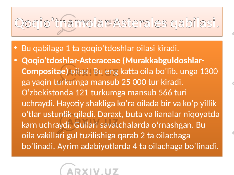 Qoqio’tnamolar-Asterales qabilasi . • Bu qabilaga 1 ta qoqio’tdoshlar oilasi kiradi. • Qoqio’tdoshlar-Asteraceae (Murakkabguldoshlar- Compositae) oilasi. Bu eng katta oila bo’lib, unga 1300 ga yaqin turkumga mansub 25 000 tur kiradi. O’zbekistonda 121 turkumga mansub 566 turi uchraydi. Hayotiy shakliga ko’ra oilada bir va ko’p yillik o’tlar ustunlik qiladi. Daraxt, buta va lianalar niqoyatda kam uchraydi. Gullari savatchalarda o’rnashgan. Bu oila vakillari gul tuzilishiga qarab 2 ta oilachaga bo’linadi. Ayrim adabiyotlarda 4 ta oilachaga bo’linadi. 01 03 01 2B 01 0102 34 02 09 18 1D 0B0D 10 0B07 06 