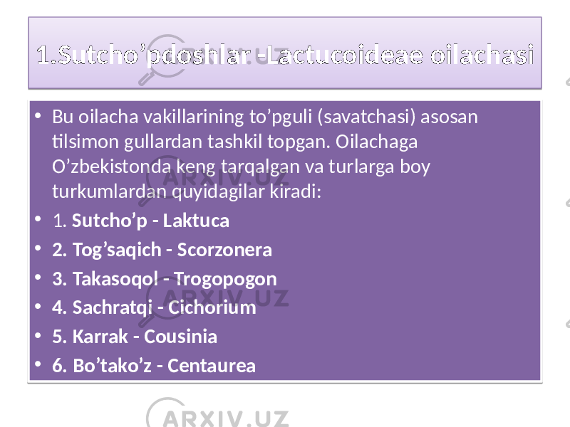 1.Sutcho’pdoshlar -Lactucoideae oilachasi • Bu oilacha vakillarining to’pguli (savatchasi) asosan tilsimon gullardan tashkil topgan. Oilachaga O’zbekistonda keng tarqalgan va turlarga boy turkumlardan quyidagilar kiradi: • 1. Sutcho’p - Laktuca • 2. Tog’saqich - Scorzonera • 3. Takasoqol - Trogopogon • 4. Sachratqi - Cichorium • 5. Karrak - Cousinia • 6. Bo’tako’z - Centaurea 2F33 02 01 2B 1B 18 0E 01 1F 37 01 39 01 30 01 31 01 2E 01 3C 