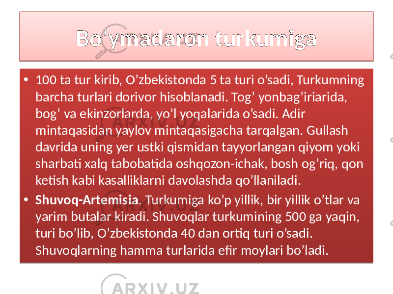 Bo’ymadaron turkumiga • 100 ta tur kirib, O’zbekistonda 5 ta turi o’sadi, Turkumning barcha turlari dorivor hisoblanadi. Tog’ yonbag’iriarida, bog’ va ekinzorlarda, yo’l yoqalarida o’sadi. Adir mintaqasidan yaylov mintaqasigacha tarqalgan. Gullash davrida uning yer ustki qismidan tayyorlangan qiyom yoki sharbati xalq tabobatida oshqozon-ichak, bosh og’riq, qon ketish kabi kasalliklarni davolashda qo’llaniladi. • Shuvoq-Artemisia . Turkumiga ko’p yillik, bir yillik o’tlar va yarim butalar kiradi. Shuvoqlar turkumining 500 ga yaqin, turi bo’lib, O’zbekistonda 40 dan ortiq turi o’sadi. Shuvoqlarning hamma turlarida efir moylari bo’ladi. 2B02 02 01 1F 06 06 0F 12 0A 10 01 3715 03 24 0E 3C 