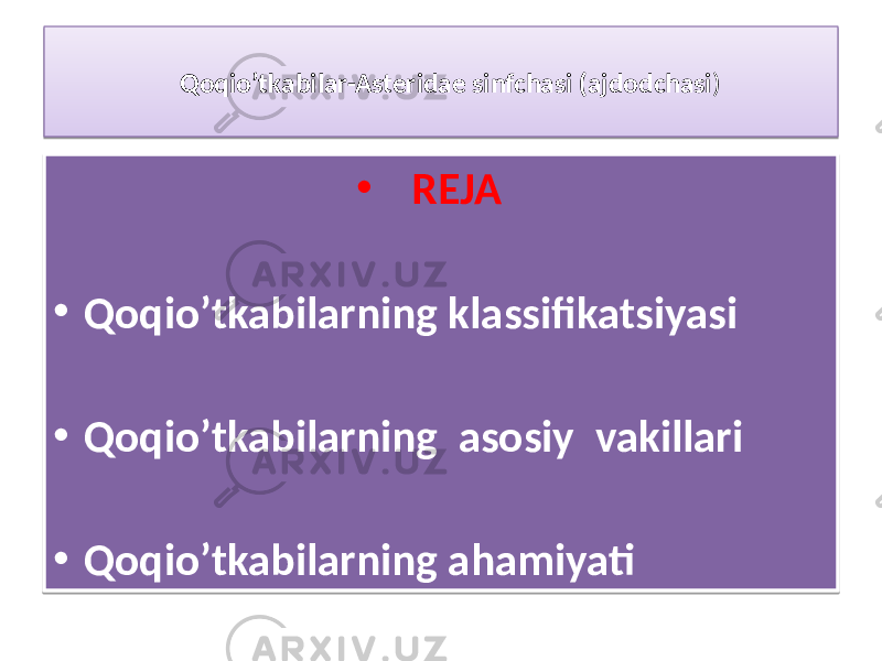 Qoqio’tkabilar-Asteridae sinfchasi (ajdodchasi ) • REJA • Qoqio’tkabilarning klassifikatsiyasi • Qoqio’tkabilarning asosiy vakillari • Qoqio’tkabilarning ahamiyati01 01 01 18 01 01 01 01 01 01 