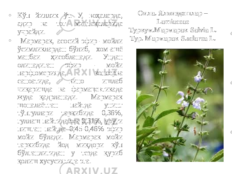 Оила. Ялпиздошлар – Lamiaceae Туркум.Мармарак-Salvia L. Тур. Мармарак-S.sclarea L.• Кўп йиллик ўт. У, воҳаларда, адир ва тоғ минтақаларида учрайди. • Мармарак, асосий эфир- мойли ўсимликлардан бўлиб, хом-ашё манбаи ҳисобланади. Ундан олинадиган эфир - мойи парфюмерияда, консерва саноатида, вино ишлаб чиқаришда ва фармацевтикада жуда қадрланади. Мармарак шоналаётган пайтда унинг тўпгуллари таркибида 0,38%, гуллаш пайтида эса 0,31%, уруғи пишган пайтда 0,45-0,48% эфир мойи бўлади. Мармарак мойи таркибида йод миқдори кўп бўлганлигидан у тезда қуриб қолиш хусусиятига эга. 