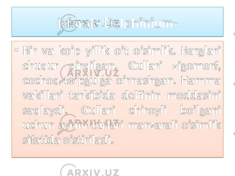 Isfarak- Delphinium - • Bir va ko’p yillik o’t o’simlik. Barglari chuqur qirqilgan. Gullari zigomorf, сochoq to’pgulga o’rnashgan. Hamma vakillari tarkibida delfinin moddasini saqlaydi. Gullari chiroyli bo’lgani uchun ayrim turlari manzarali o’simlik sifatida o’stiriladi. 3F0F 19 01 2A 11 40 07 0F 1911 0F 