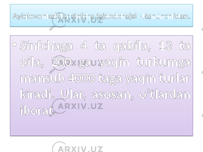 Ayiqtovonkabilar sinfcha (ajdodcha)si - Ranuncnlidae . • Sinfchaga 4 ta qabila, 13 ta oila, 200 ga yaqin turkumga mansub 4000 taga yaqin turlar kiradi. Ular, asosan, o’tlardan iborat. 01 1C 01 1D0308 06030C 1B0A08 09 030B 