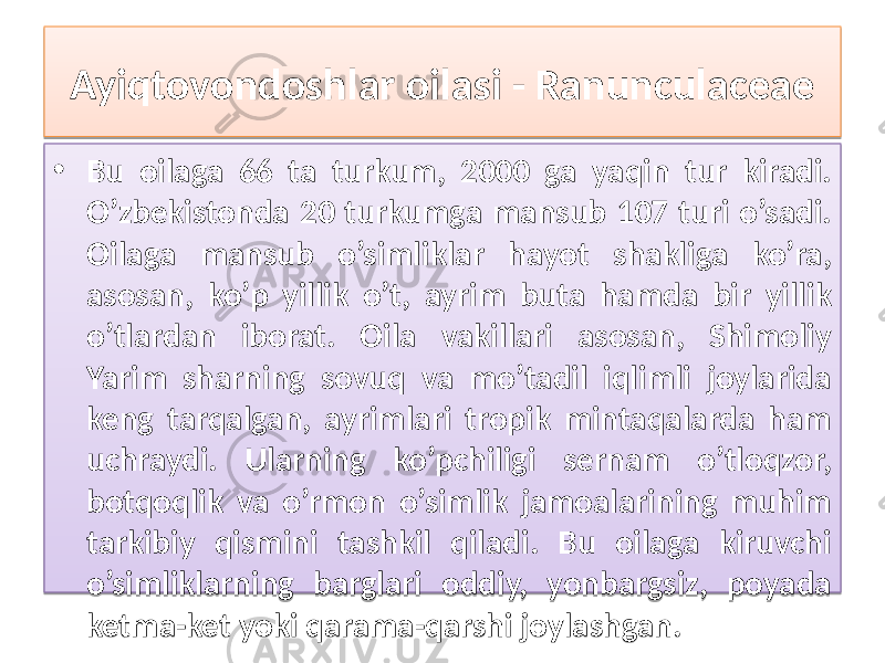 Ayiqtovondoshlar oilasi - Ranunculaceae • Bu oilaga 66 ta turkum, 2000 ga yaqin tur kiradi. O’zbekistonda 20 turkumga mansub 107 turi o’sadi. Oilaga mansub o’simliklar hayot shakliga ko’ra, asosan, ko’p yillik o’t, ayrim buta hamda bir yillik o’tlardan iborat. Oila vakillari asosan, Shimoliy Yarim sharning sovuq va mo’tadil iqlimli joylarida keng tarqalgan, ayrimlari tropik mintaqalarda ham uchraydi. Ularning ko’pchiligi sernam o’tloqzor, botqoqlik va o’rmon o’simlik jamoalarining muhim tarkibiy qismini tashkil qiladi. Bu oilaga kiruvchi o’simliklarning barglari oddiy, yonbargsiz, poyada ketma-ket yoki qarama-qarshi joylashgan. 01 01 2A190E 2F 2F 0A0F 06 32 09 1911 0B06 05 06 09 