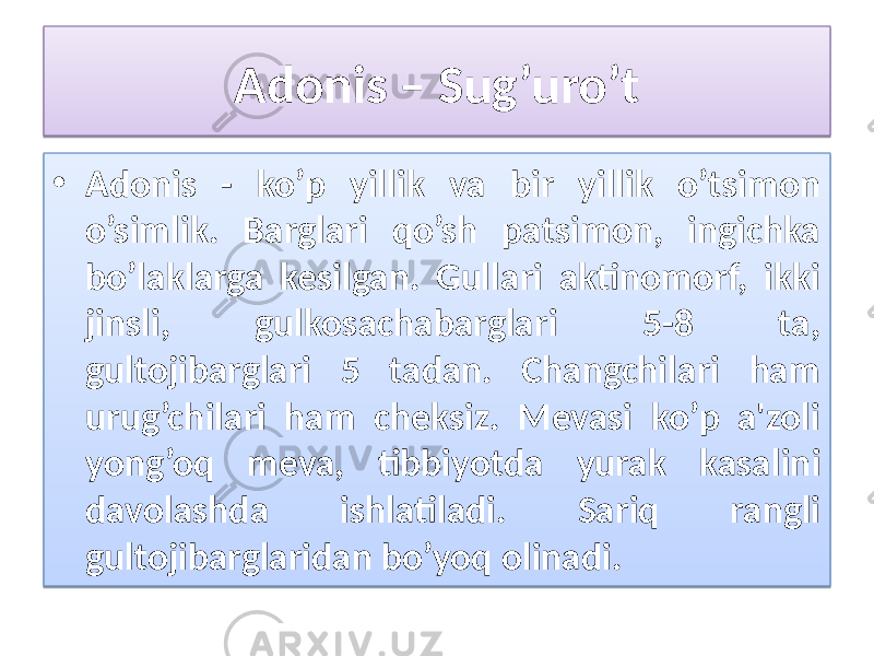 Adonis – Sug’uro’t • Adonis - ko’p yillik va bir yillik o’tsimon o’simlik. Barglari qo’sh patsimon, ingichka bo’laklarga kesilgan. Gullari aktinomorf, ikki jinsli, gulkosachabarglari 5-8 ta, gultojibarglari 5 tadan. Changchilari ham urug’chilari ham cheksiz. Mevasi ko’p a&#39;zoli yong’oq meva, tibbiyotda yurak kasalini davolashda ishlatiladi. Sariq rangli gultojibarglaridan bo’yoq olinadi. 0115 01 01 06 0B 1403 1E 19 02 15 1E 