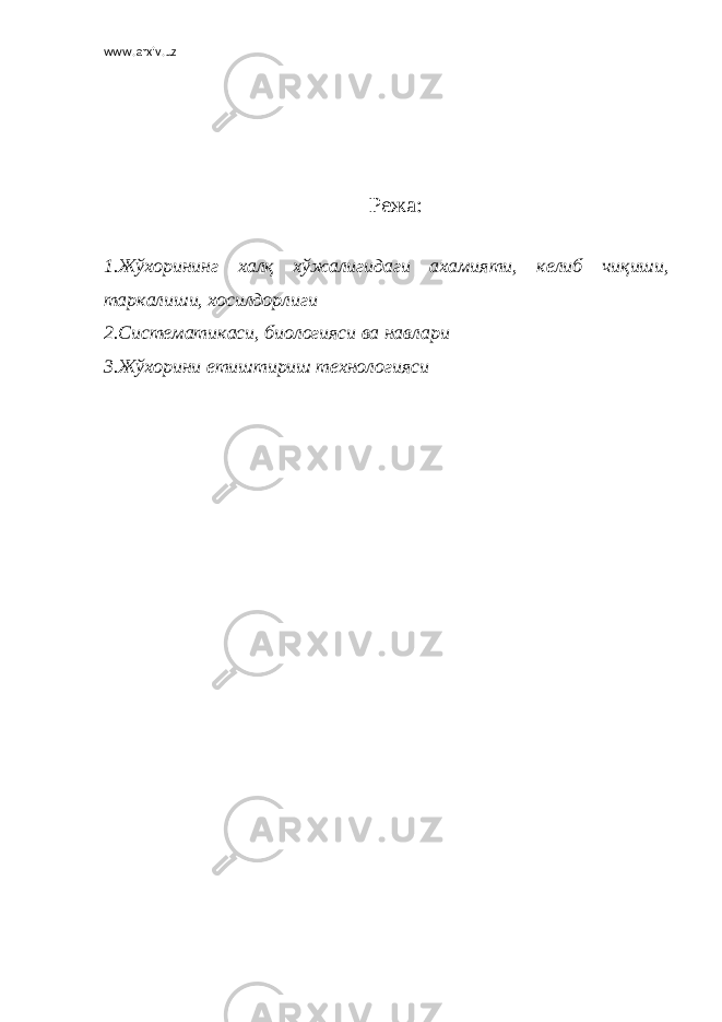 www.arxiv.uz Режа: 1.Жўхорининг халқ хўжалигидаги ахамияти, келиб чиқиши, таркалиши, хосилдорлиги 2.Систематикаси, биологияси ва навлари 3.Жўхорини етиштириш технологияси 