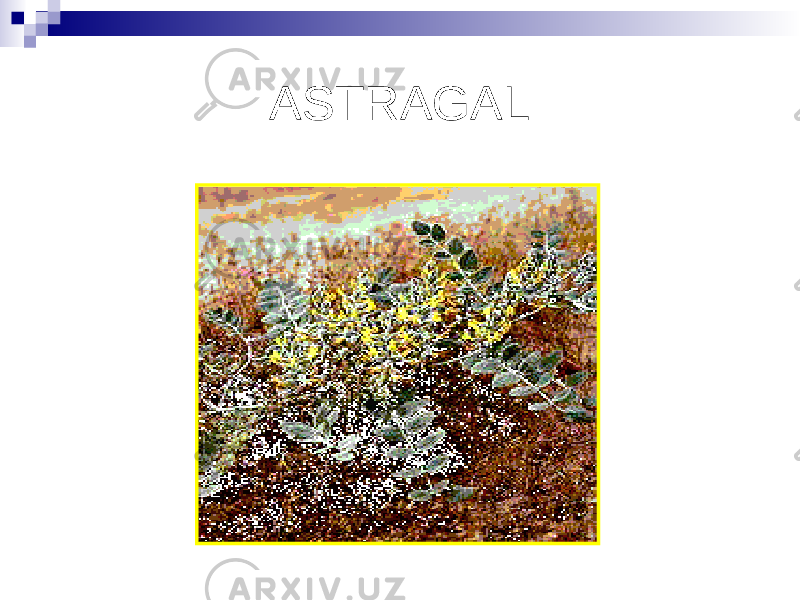 ASTRAGAL 