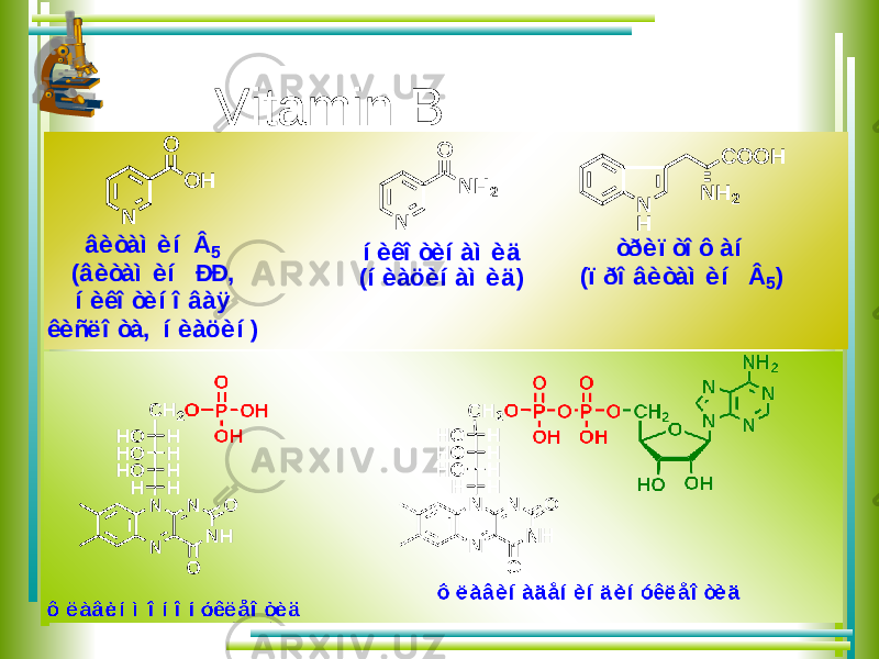 Vitamin B â è ò à ì è í Â5 ( â è ò à ì è í Ð Ð , í è ê î ò è í î â à ÿ ê è ñ ë î ò à , í è à ö è í ) N O H O í è ê î ò è í à ì è ä ( í è à ö è í à ì è ä ) N N H 2 O N H C O O H N H 2 ò ð è ï ò î ô à í ( ï ð î â è ò à ì è í Â 5 ) 