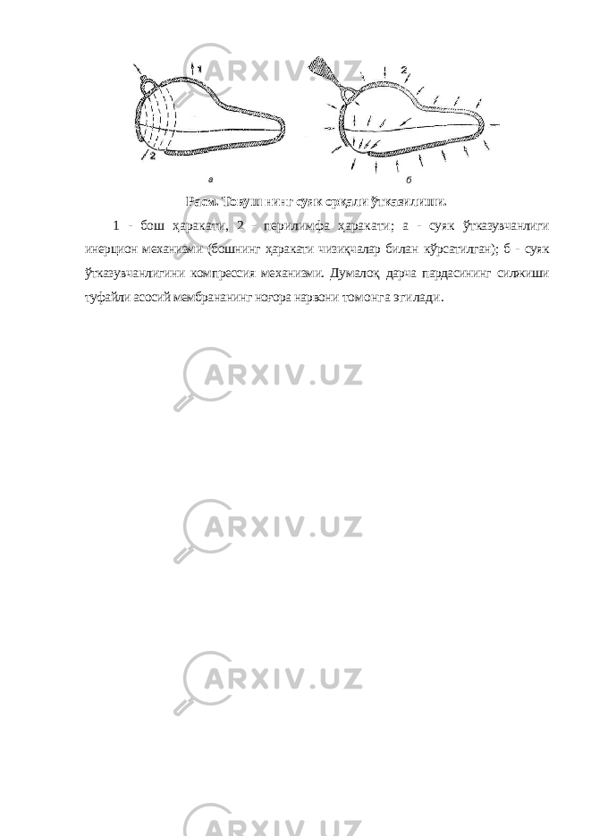 Расм. Товуш нинг суяк орқали ўтказилиши. 1 - бош ҳаракати, 2 - перилимфа ҳаракати; а - суяк ўтказувчанлиги инерцион механизми (бошнинг ҳаракати чизиқчалар билан кўрсатилган); б - суяк ўтказувчанлигини компрессия механизми. Думалоқ дарча пардасининг силжиши туфайли асосий мембрананинг ноғора нарвони томонга эгилади. 