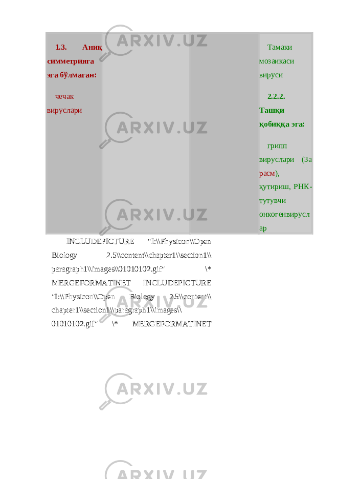1.3. Аниқ симметрияга эга бўлмаган : чечак вирус лари Тамаки мозаикаси вируси 2.2.2. Ташқи қобиққа эга: грипп вирус лари (3 а расм ), қутириш , РНК- тутувчи онкогенвирус л ар INCLUDEPICTURE &#34;I:\\Physicon\\Open Biology 2.5\\content\\chapter1\\section1\\ paragraph1\\images\\01010102.gif&#34; \* MERGEFORMATINET INCLUDEPICTURE &#34;I:\\Physicon\\Open Biology 2.5\\content\\ chapter1\\section1\\paragraph1\\images\\ 01010102.gif&#34; \* MERGEFORMATINET 