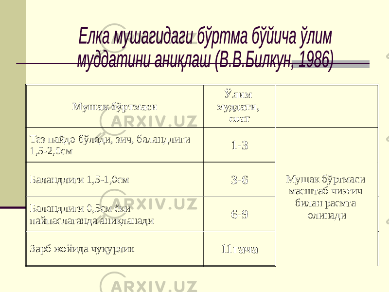 Мушак бўртмаси Ўлим муддати, соат Тез пайдо бўлади, зич, баландлиги 1,5-2,0см 1-3 Мушак бўртмаси масштаб чизғич билан расмга олинадиБаландлиги 1,5-1,0см 3-6 Баландлиги 0,5см ёки пайпаслаганда аниқланади 6-9 Зарб жойида чуқурлик 11гача 