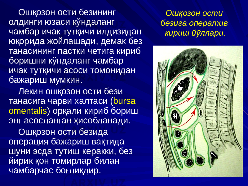 Ошқозон ости безига оператив кириш йўллари.Ошқозон ости безининг олдинги юзаси кўндаланг чамбар ичак тутқичи илдизидан юқорида жойлашади, демак без танасининг пастки четига кириб боришни кўндаланг чамбар ичак тутқичи асоси томонидан бажариш мумкин. Лекин ошқозон ости бези танасига чарви халтаси ( bursa omentalis ) орқали кириб бориш энг асосланган ҳисобланади. Ошқозон ости безида операция бажариш вақтида шуни эсда тутиш керакки, без йирик қон томирлар билан чамбарчас боғлиқдир. 