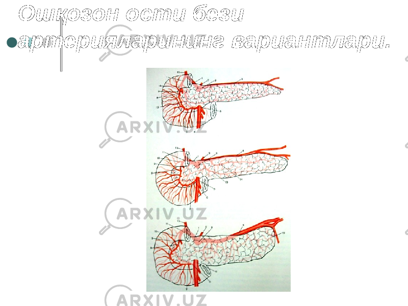 Ошқозон ости бези артерияларининг вариантлари. 