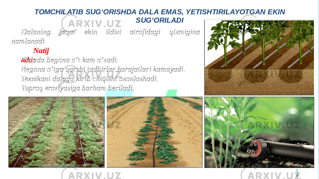 1 9TOMCHILATIB SUG‘ORISHDA DALA EMAS, YETISHTIRILAYOTGAN EKIN SUG‘ORILADI faqat ekin ildizi atrofidagi qismiginaDalaning namlanadi Natij ada:Dalada begona o‘t kam o‘sadi. Begona o‘tga qarshi tadbirlar harajatlari kamayadi. Texnikani dalaga kirib chiqishi osonlashadi. Tuproq eroziyasiga barham beriladi . 