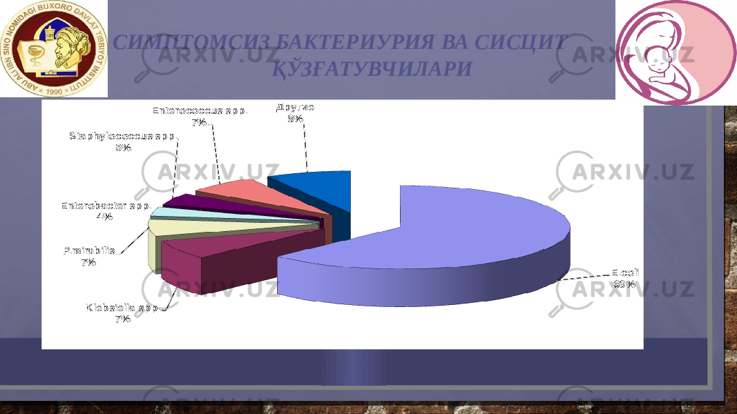  СИМПТОМСИЗ БАКТEРИУРИЯ ВА СИСЦИТ ҚЎЗҒАТУВЧИЛАРИ E.coli 63% Klebsiella spp. 7% P.mirabilis 7% Enterobacter spp. 4% Staphylococcus spp. 5% Enterococcus spp. 7% Другие 8% 