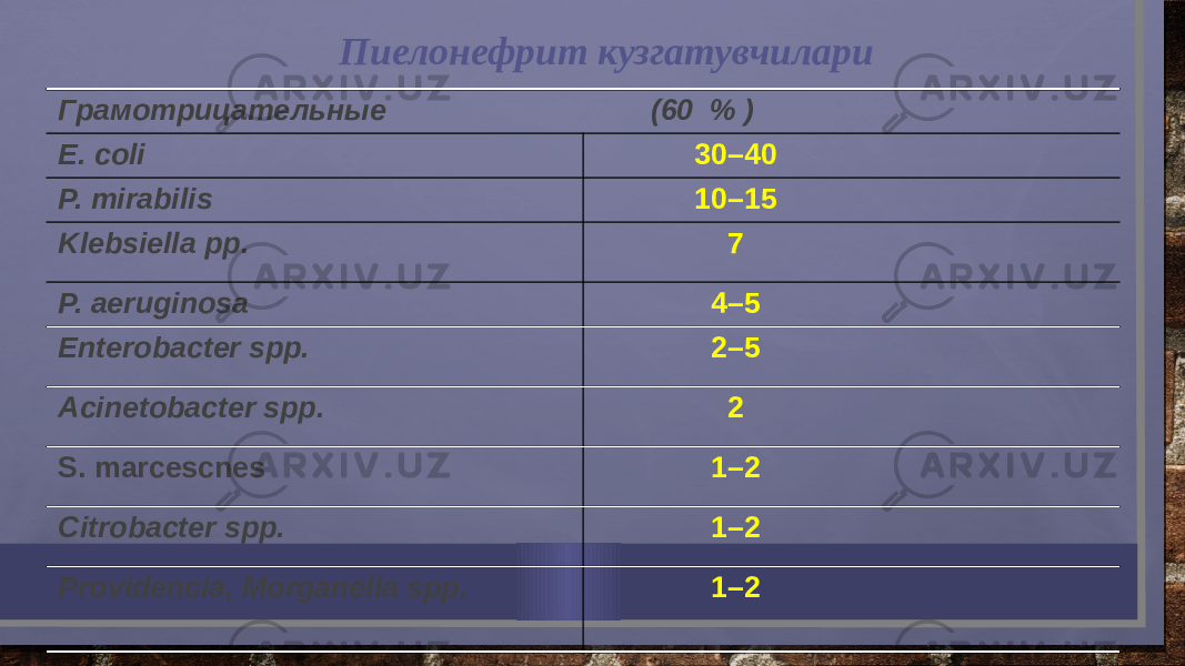 Пиелонефрит кузгатувчилари Грамотрицательные (60 % ) E. coli 30–40 P. mirabilis 10–15 Klebsiella pp. 7 P. aeruginosa 4–5 Enterobacter spp. 2–5 Acinetobacter spp. 2 S. marcescnes 1–2 Citrobacter spp. 1–2 Providencia, Morganella spp. 1–2 