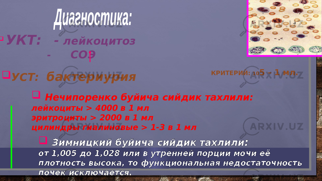   УКТ: - лейкоцитоз - СОЭ  УСТ: бактериурия  Нечипоренко буйича сийдик тахлили: лейкоциты > 4000 в 1 мл эритроциты > 2000 в 1 мл цилиндры гиалиновые > 1-3 в 1 мл КРИТЕРИЙ: 10 5 – 1 мл.  Зимницкий буйича сийдик тахлили : от 1,005 до 1,028 или в утренней порции мочи её плотность высока, то функциональная недостаточность почек ис ключается. 