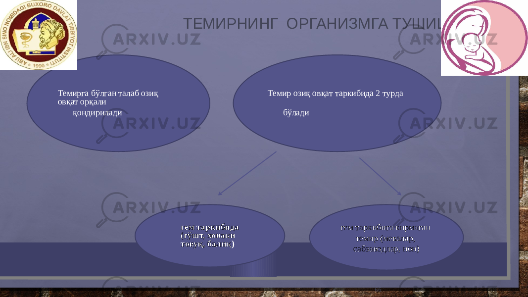  ТЕМИРНИНГ ОРГАНИЗМГА ТУШИШИ 66Темирга бўлган талаб озиқ овқат орқали қондирилади Темир озиқ овқат таркибида 2 турда бўлади гем таркибида (гўшт, хонаки товуқ, балиқ ) гем таркибига кирмаган темир (мевалар, сабзаводлар, нон) 