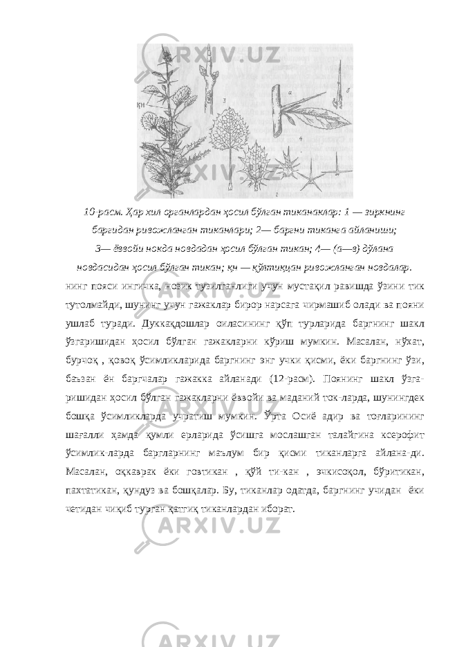 10-расм. Ҳар хил органлардан ҳосил бўлган тиканаклар: 1 — зиркнинг баргидан ривожланган тиканлари; 2— баргни тиканга айланиши; 3— ёввойи нокда новдадан ҳосил бўлган тикан; 4— (а—в) дўлана новдасидан ҳосил бўлган тикан; қн — қўлтиқцан ривожланган новдалар. нинг пояси ингичка, нозик тузилганлиги учун мустақил равишда ўзини тик тутолмайди, шунинг учун гажаклар бирор нарсага чирмашиб олади ва пояни ушлаб туради. Дуккақдошлар оиласининг қўп турларида баргнинг шакл ўзгаришидан ҳосил бўлган гажакларни кўриш мумкин. Масалан, нўхат, бурчоқ , қовоқ ўсимликларида баргнинг энг учки қисми, ёки баргнинг ўзи, баъзан ён баргчалар гажакка айланади (12-расм). Поянинг шакл ўзга- ришидан ҳосил бўлган гажакларни ёввойи ва маданий ток-ларда, шунингдек бошқа ўсимликларда учратиш мумкин. Ўрта Осиё адир ва тоғларининг шағалли ҳамда қумли ерларида ўсишга мослашган талайгина ксерофит ўсимлик-ларда баргларнинг маълум бир қисми тиканларга айлана-ди. Масалан, оқкаврак ёки говтикан , қўй ти-кан , эчкисоқол, бўритикан, пахтатикан, қундуз ва бошқалар. Бу, тиканлар одатда, баргнинг учидан ёки четидан чиқиб турган қатгиқ тиканлардан иборат. 