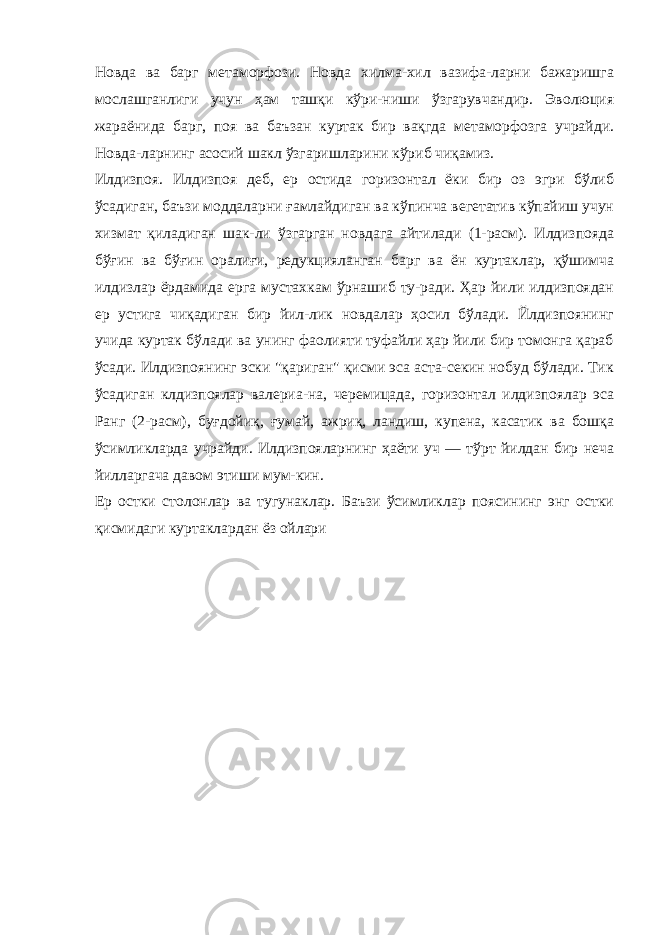 Новда ва барг метаморфози. Новда хилма-хил вазифа-ларни бажаришга мослашганлиги учун ҳам ташқи кўри-ниши ўзгарувчандир. Эволюция жараёнида барг, поя ва баъзан куртак бир вақгда метаморфозга учрайди. Новда-ларнинг асосий шакл ўзгаришларини кўриб чиқамиз. Илдизпоя. Илдизпоя деб, ер остида горизонтал ёки бир оз эгри бўлиб ўсадиган, баъзи моддаларни ғамлайдиган ва кўпинча вегетатив кўпайиш учун хизмат қиладиган шак-ли ўзгарган новдага айтилади (1-расм). Илдизпояда бўғин ва бўғин оралиғи, редукцияланган барг ва ён куртаклар, қўшимча илдизлар ёрдамида ерга мустахкам ўрнашиб ту-ради. Ҳар йили илдизпоядан ер устига чиқадиган бир йил-лик новдалар ҳосил бўлади. Йлдизпоянинг учида куртак бўлади ва унинг фаолияти туфайли ҳар йили бир томонга қараб ўсади. Илдизпоянинг эски &#34;қариган&#34; қисми эса аста-секин нобуд бўлади. Тик ўсадиган клдизпоялар валериа-на, черемицада, горизонтал илдизпоялар эса Ранг (2-расм), буғдойиқ, ғумай, ажриқ, ландиш, купена, касатик ва бошқа ўсимликларда учрайди. Илдизпояларнинг ҳаёти уч — тўрт йилдан бир неча йилларгача давом этиши мум-кин. Ер остки столонлар ва тугунаклар. Баъзи ўсимликлар поясининг энг остки қисмидаги куртаклардан ёз ойлари 