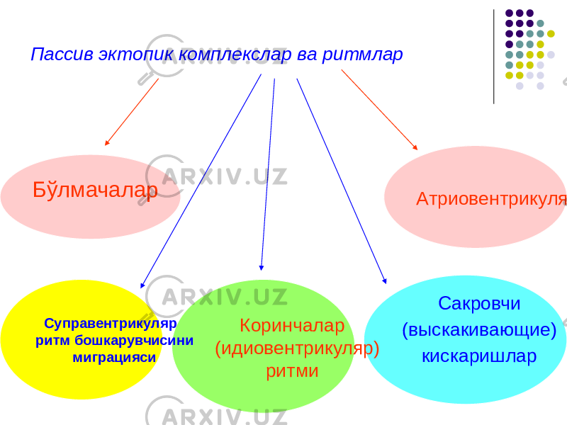 Пассив эктопик комплекслар ва ритмлар Бўлмачалар Сакровчи (выскакивающие) кискаришларАтриовентрикуляр Коринчалар (идиовентрикуляр) ритмиСуправентрикуляр ритм бошкарувчисини миграцияси 