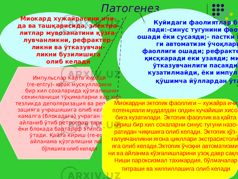 Патогенез Миокард хужайрасини ичи- да ва ташқарисида, электро- литлар мувозанатини қўзға- лувчанликни, рефрактер- ликни ва ўтказувчан- ликни бузилишига олиб келади Куйидаги фаолиятлар бузи- лади:-синус тугунини фаоллиги ошади ёки сусаяди;- пастки қаторда- ги автоматизм ўчоқларини фаоллиги ошади; рефрактер давр қисқкаради еки узаяди; миокард ўтказувчанлиги пасаяди еки кузатилмайди, ёки импульслар қўшимча йўллардан ўтади Импульслар кайта киради (re-entry)- юрак мускулларини бир хил сохаларида қўзғалишни секинланиши тўқималарни хар хил тезликда деполяризация ва реполяри- зацияга учрашишига олиб келади ва камалга (блокадага) учраган сохани айланиб ўтиб ретроград тарқалади ёки блокада бартараф этилса ундан ўтади. Қайта кириш (re-entry) айланама қўзгалишни пайдо бўлишига олиб келади Миокардни эктопик фаоллиги – хужайра ичи потенциали муддатдан олдин кучайиши хисо- бига кузатилади. Эктопик фаоллик ва қайта кириш бир хил сохаларни синус тугуни назо- ратидан чиқишига олиб келади. Эктопик қўз- ғалувчанликни ягона цикллари экстрасистоли- яга олиб келади.Эктопик ўчоқни автоматизми- ни ва айланма кўзғалишларини узоқ давр сақла- Ниши пароксизмал тахикардия, бўлмачалар титраши ва хилпиллашига олиб келади 