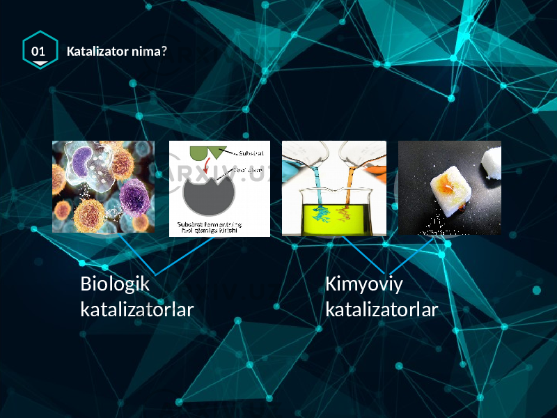 01 Katalizator nima? Biologik katalizatorlar Kimyoviy katalizatorlar 