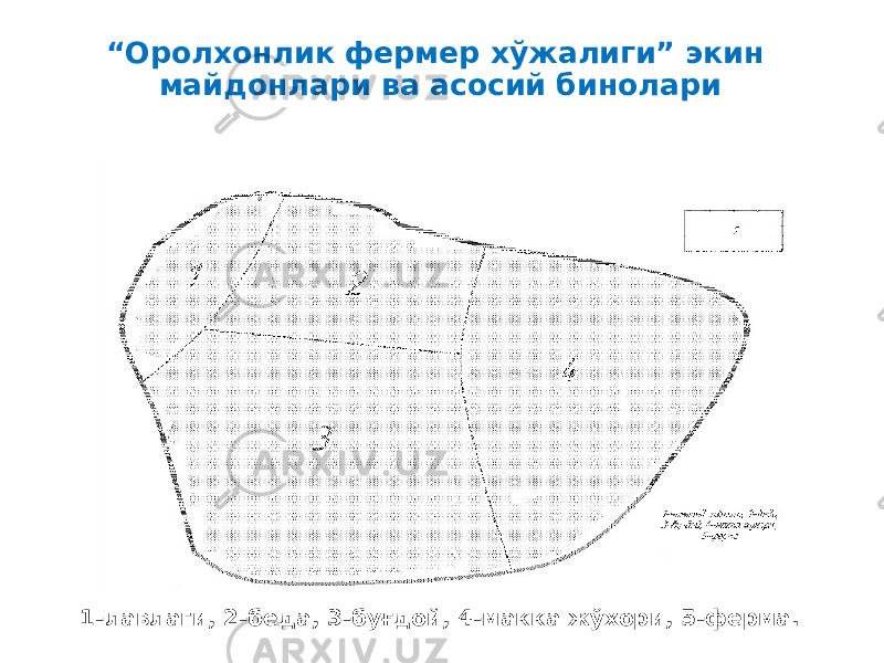 “ Оролхонлик фермер хўжалиги” экин майдонлари ва асосий бинолари 1-лавлаги, 2-беда, 3-буғдой, 4-макка жўхори, 5-ферма. 