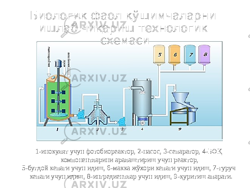 Биологик фаол қўшимчаларни ишлаб чиқариш технологик схемаси 1-инокулят учун фотобиореактор, 2-насос, 3-сепаратор, 4-БФҚ компонентларини аралаштириш учун реактор, 5-буғдой кепаги учун идиш, 6-макка жўхори кепаги учун идиш, 7-гуруч кепаги учун идиш, 8-ингредиентлар учун идиш, 9-қуритиш апарати. 