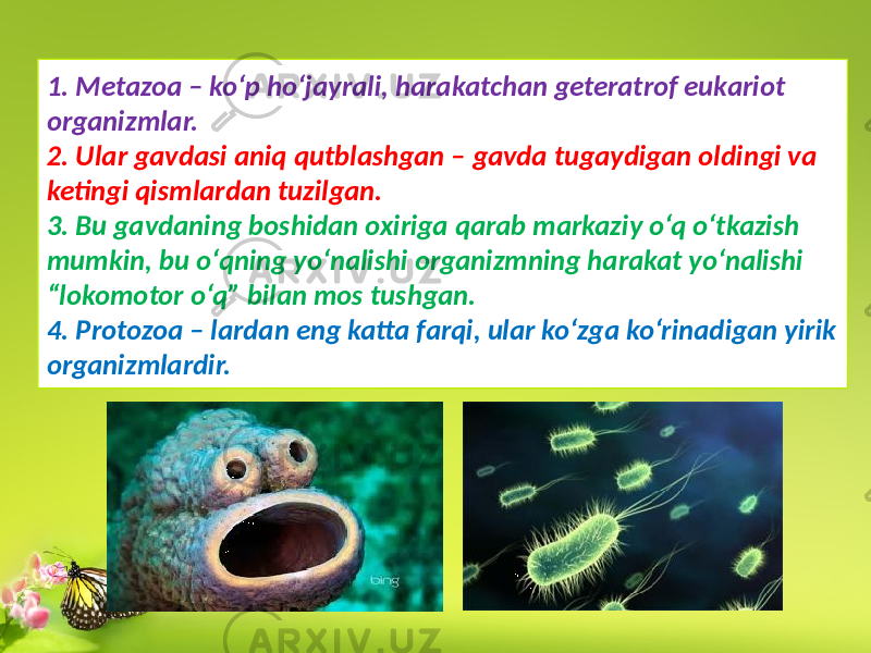 1. Metazoa – ko‘p ho‘jayrali, harakatchan geteratrof eukariot organizmlar. 2. Ular gavdasi aniq qutblashgan – gavda tugaydigan oldingi va ketingi qismlardan tuzilgan. 3. Bu gavdaning boshidan oxiriga qarab markaziy o‘q o‘tkazish mumkin, bu o‘qning yo‘nalishi organizmning harakat yo‘nalishi “lokomotor o‘q” bilan mos tushgan. 4. Protozoa – lardan eng katta farqi, ular ko‘zga ko‘rinadigan yirik organizmlardir. 