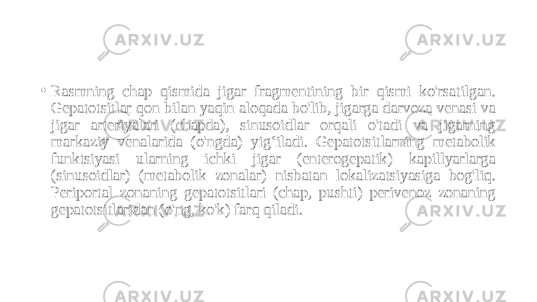 • Rasmning chap qismida jigar fragmentining bir qismi ko&#39;rsatilgan. Gepatotsitlar qon bilan yaqin aloqada bo&#39;lib, jigarga darvoza venasi va jigar arteriyalari (chapda), sinusoidlar orqali o&#39;tadi va jigarning markaziy venalarida (o&#39;ngda) yig‘iladi. Gepatotsitlarning metabolik funktsiyasi ularning ichki jigar (enterogepatik) kapillyarlarga (sinusoidlar) (metabolik zonalar) nisbatan lokalizatsiyasiga bog&#39;liq. Periportal zonaning gepatotsitlari (chap, pushti) perivenoz zonaning gepatotsitlaridan (o&#39;ng, ko&#39;k) farq qiladi. 