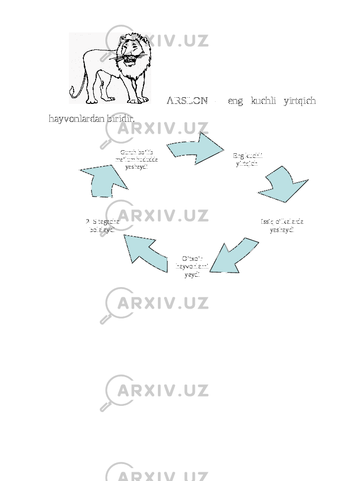  ARSLON – eng kuchli yirtqich hayvonlardan biridir. Eng kuchli yirtqich 2- 5 tagacha bolalaydi Guruh bo’lib ma’lum hududda yashaydi Issiq o’lkalarda yashaydi O’txo’r hayvonlarni yeydi 