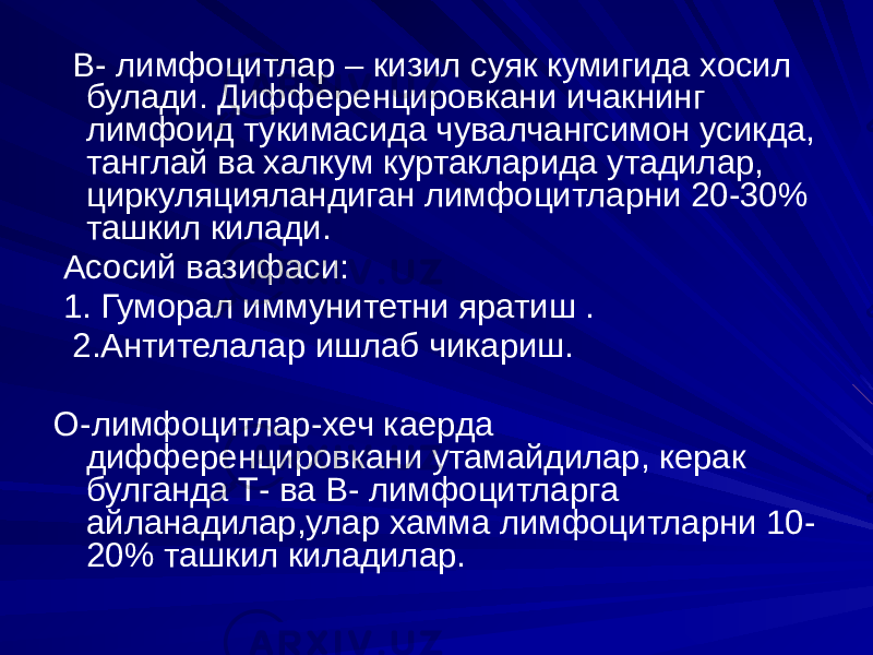  В- лимфоцитлар – кизил суяк кумигида хосил булади. Дифференцировкани ичакнинг лимфоид тукимасида чувалчангсимон усикда, танглай ва халкум куртакларида утадилар, циркуляцияландиган лимфоцитларни 20-30% ташкил килади. Асосий вазифаси: 1. Гуморал иммунитетни яратиш . 2.Антителалар ишлаб чикариш. О-лимфоцитлар-хеч каерда дифференцировкани утамайдилар, керак булганда Т- ва В- лимфоцитларга айланадилар,улар хамма лимфоцитларни 10- 20% ташкил киладилар. 